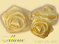 click for enlarge 1024 X 768 411,0 Kb picture
