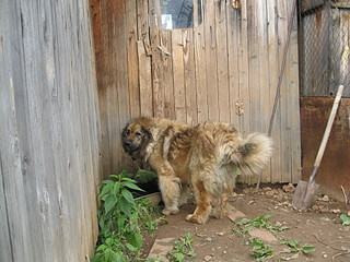 click for enlarge 1920 X 1440 714,4 Kb picture