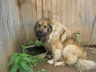 click for enlarge 1920 X 1440 622,9 Kb picture