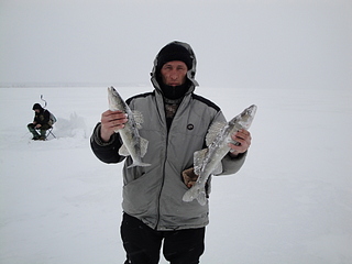 click for enlarge 1920 X 1440 942,8 Kb picture