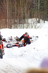 click for enlarge 1920 X 2876 444,6 Kb picture