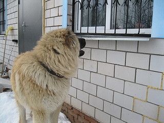 click for enlarge 1920 X 1440 557,5 Kb picture