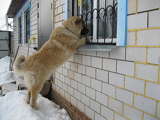 click for enlarge 1920 X 1440 559,6 Kb picture