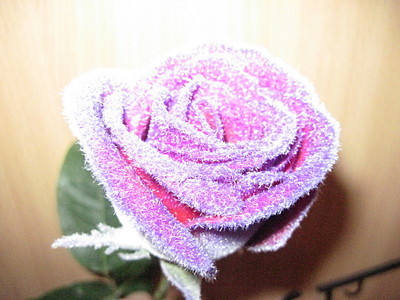 click for enlarge 1920 X 1440 599,2 Kb picture