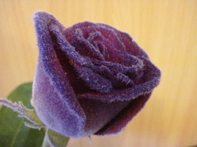 click for enlarge 1920 X 1440 573,2 Kb picture