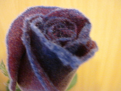 click for enlarge 1920 X 1440 565,0 Kb picture