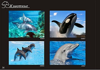 click for enlarge 1432 X 1000 243,7 Kb picture