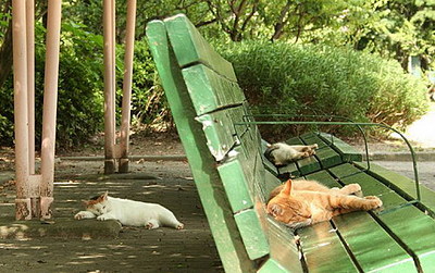 click for enlarge 500 X 314 69,4 Kb picture