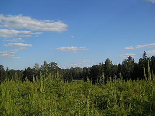 click for enlarge 1920 X 1440 737,7 Kb picture