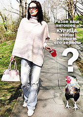 click for enlarge 228 X 321  33,9 Kb picture