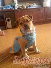 click for enlarge 198 X 264   9,6 Kb picture