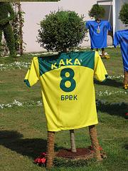 click for enlarge 1200 X 1600 416,9 Kb picture