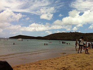 click for enlarge 720 X 538 71,1 Kb picture