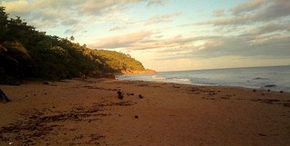 click for enlarge 508 X 257 29,1 Kb picture