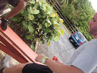 click for enlarge 720 X 540 97,9 Kb picture