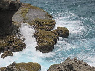 click for enlarge 720 X 540 102,2 Kb picture