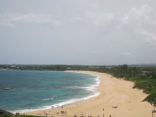 click for enlarge 720 X 540 45,0 Kb picture