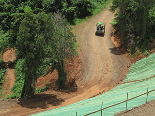 click for enlarge 720 X 540 117,4 Kb picture