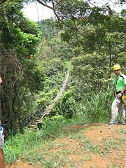 click for enlarge 540 X 720 186,3 Kb picture