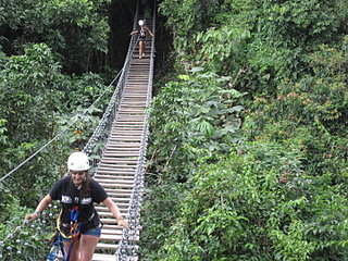 click for enlarge 720 X 540 159,3 Kb picture