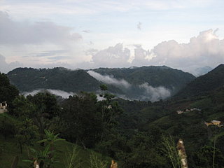 click for enlarge 720 X 540 54,1 Kb picture