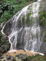 click for enlarge 540 X 720 141,8 Kb picture