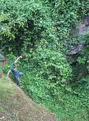 click for enlarge 528 X 720 161,1 Kb picture