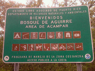 click for enlarge 604 X 453 57,1 Kb picture