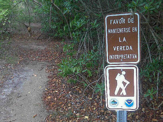 click for enlarge 604 X 453 63,9 Kb picture