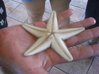 click for enlarge 604 X 453 42,2 Kb picture