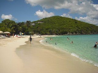 click for enlarge 604 X 453 38,1 Kb picture