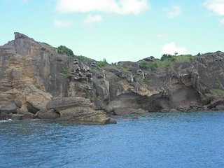 click for enlarge 604 X 453 45,8 Kb picture