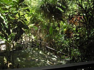 click for enlarge 604 X 453 90,8 Kb picture