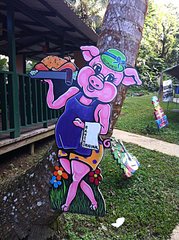 click for enlarge 537 X 720 116,2 Kb picture