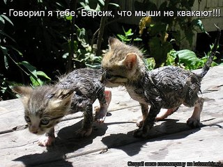 click for enlarge 604 X 453  80,0 Kb picture