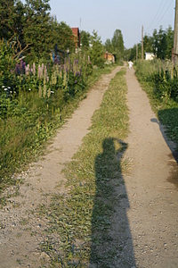 click for enlarge 1920 X 2880 581,8 Kb picture