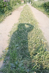 click for enlarge 1920 X 2880 670,1 Kb picture