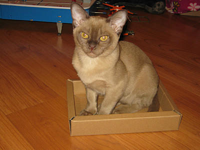 click for enlarge 800 X 600 117,9 Kb picture