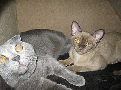 click for enlarge 800 X 600 143,8 Kb picture