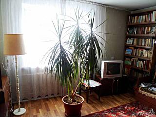 click for enlarge 640 X 480  42,8 Kb picture