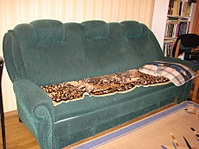 click for enlarge 922 X 692 278,9 Kb picture