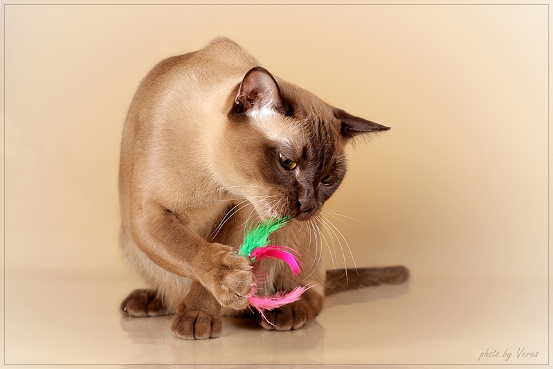 click for enlarge 1024 X 683 209,0 Kb picture