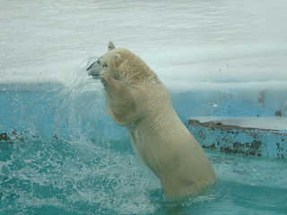 click for enlarge 1920 X 1440 127,3 Kb picture