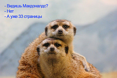 click for enlarge 800 X 533 73,3 Kb picture