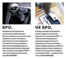 click for enlarge 604 X 544 80,9 Kb picture