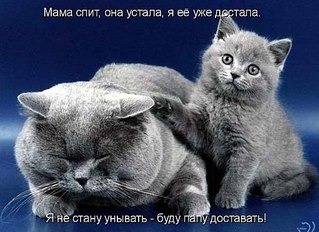 click for enlarge 598 X 435 49,9 Kb picture