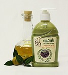 click for enlarge 365 X 406 25,2 Kb picture