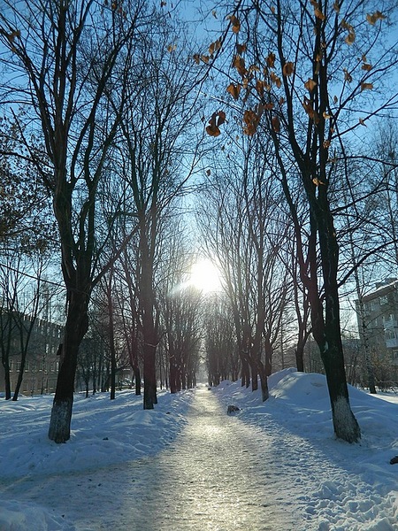 click for enlarge 600 X 800 264,4 Kb picture