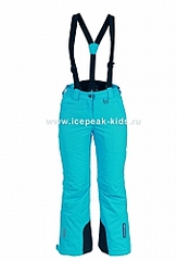 click for enlarge 170 X 250  23,4 Kb picture