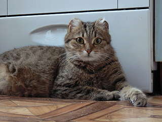 click for enlarge 1920 X 1440 225,4 Kb picture